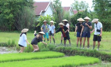 Luang prabang: Rice experience & Kuang si waterfalls